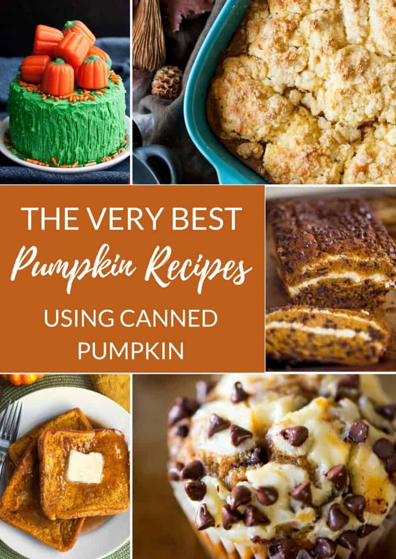 The Very Best Recipes You Can Make With Canned Pumpkin