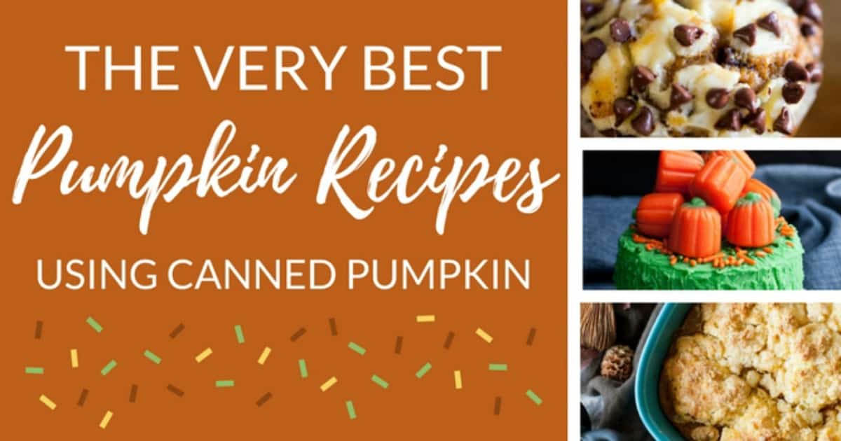 The Very Best Recipes You Can Make with Canned Pumpkin - Cupcake Diaries